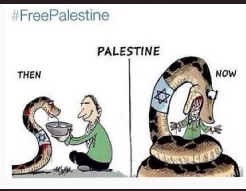 #FreePalestine
