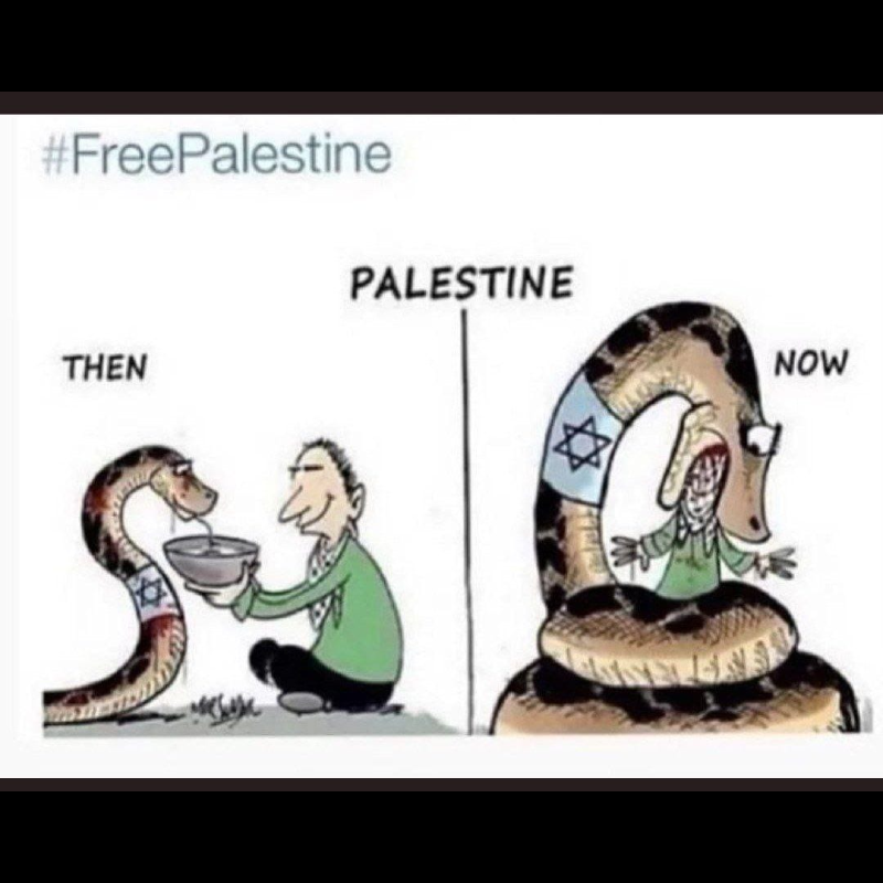 #FreePalestine