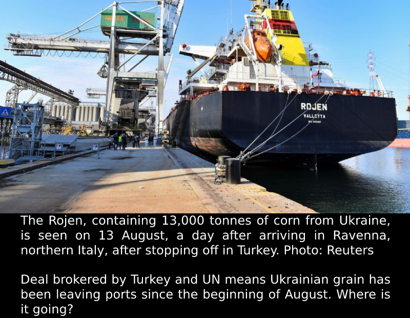 Why Ukrainian grain is not going to countries with a food crisis.
 READ:
 
 #Cri...