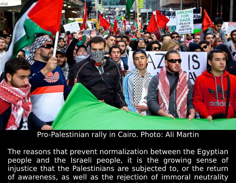 Without Palestine, There is No Arab Unity: Why Normalization with Israel Will Fa...