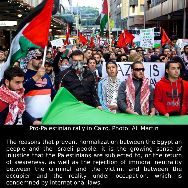 Without Palestine, There is No Arab Unity: Why Normalization with