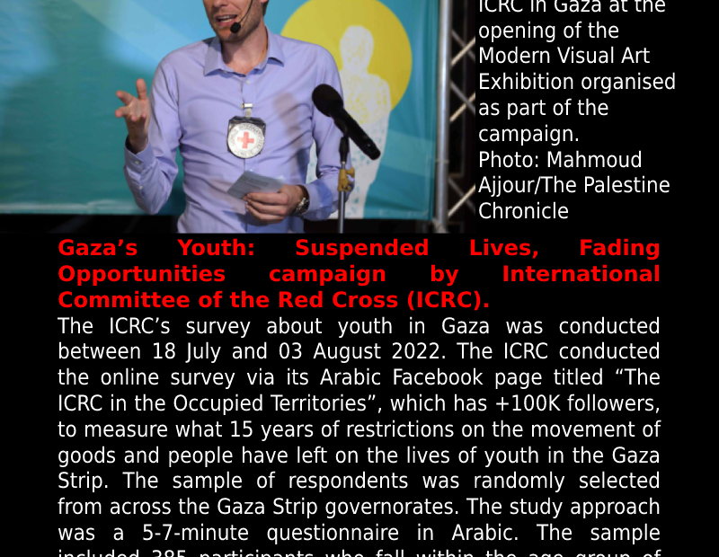 Palestine Chronicle Interviews Deputy Head of ICRC in Gaza about ‘Gaza’s Youth’ ...