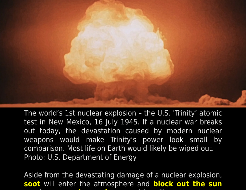 What Would a Nuclear War Look Like?
 READ: 
 #CriminaliseWar #EnergisePeace #Nuc...