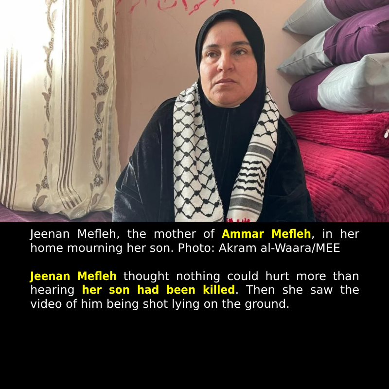 An Israeli killed her son at point blank and tore