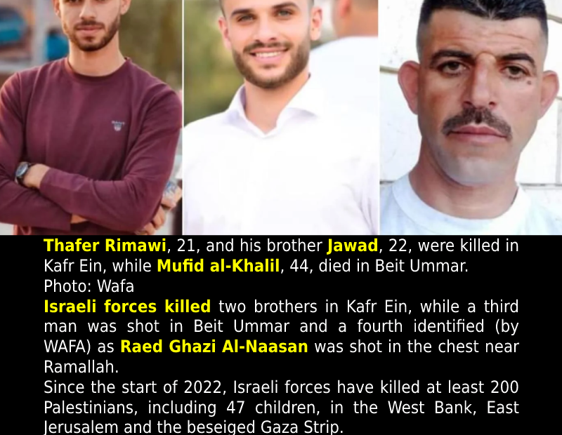 Brothers among four Palestinians killed by Israeli forces in West Bank.
 READ: 
...