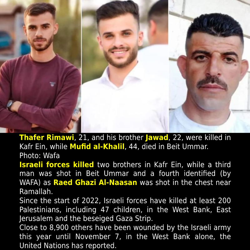 Brothers among four Palestinians killed by Israeli forces in West